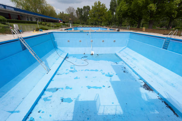 Best Water damage contractors near me  in Pine Hill, NJ