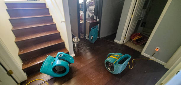 Best 24-hour water damage restoration  in Pine Hill, NJ