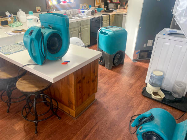 Best Flood damage cleanup  in Pine Hill, NJ