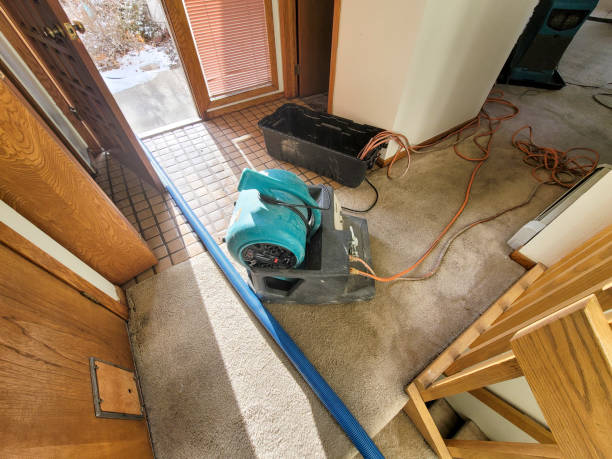 Best Water damage cleanup near me  in Pine Hill, NJ