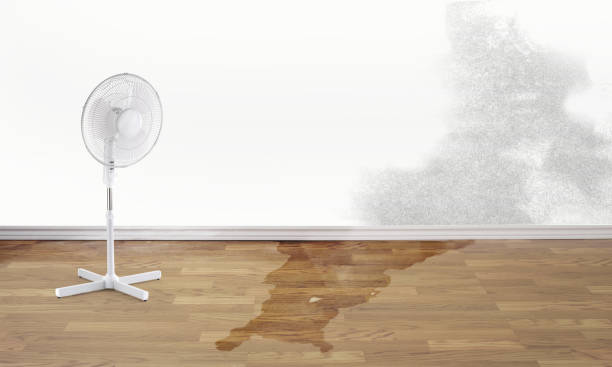 Best Water damage restoration insurance claims  in Pine Hill, NJ
