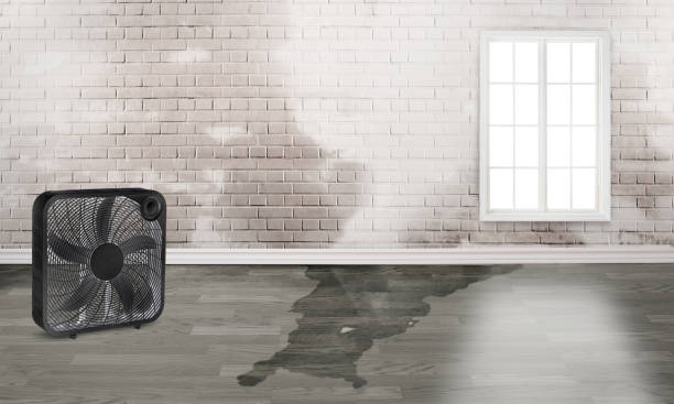 Best Commercial water damage restoration  in Pine Hill, NJ