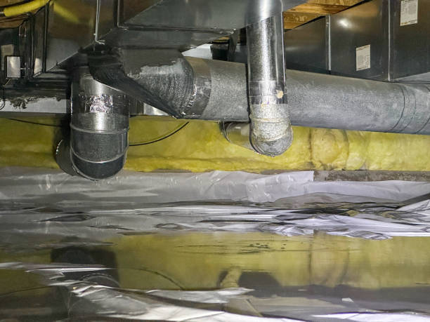 Best Professional water damage repair  in Pine Hill, NJ