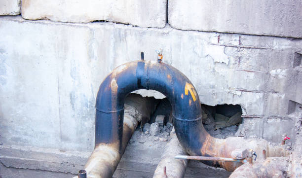 Best Water damage cleanup near me  in Pine Hill, NJ