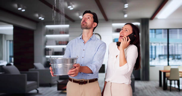 Best Mold removal after water damage  in Pine Hill, NJ