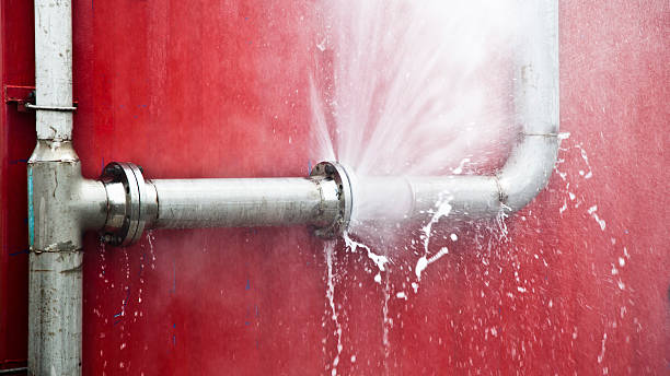 Best Flood restoration services  in Pine Hill, NJ