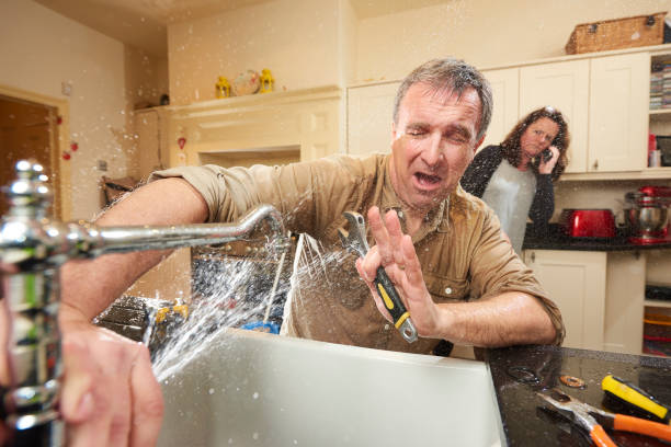Best Ceiling water damage repair  in Pine Hill, NJ